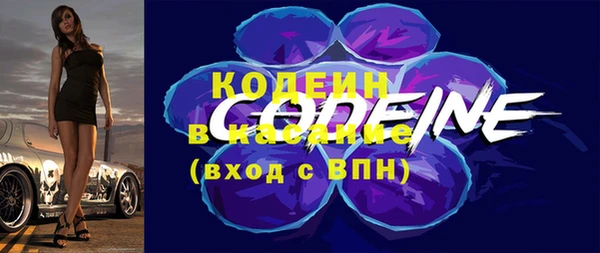 шишки Богородицк